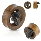 Pair Hand Carved Ebony Wood Cobra Saddle Fit Snake Wood Organic Tunnel Ear Plugs