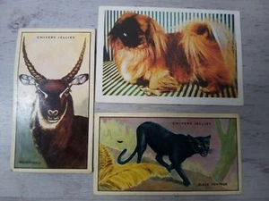 CHIVERS WILD WISDOM IN AFRICA TRADING CARDS 1964 BUNDLE x 3 JOBLOT RARE VINTAGE - Picture 1 of 2