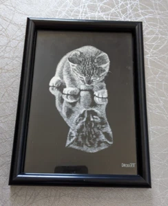 Vintage Droguett Reflections Cat Kitten Print 5.5 x 9" Black Metal Frame - Picture 1 of 4