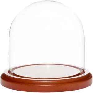 Plymor 4" x 4" Glass Display Dome Cloche (Walnut MDF Base) - Picture 1 of 2