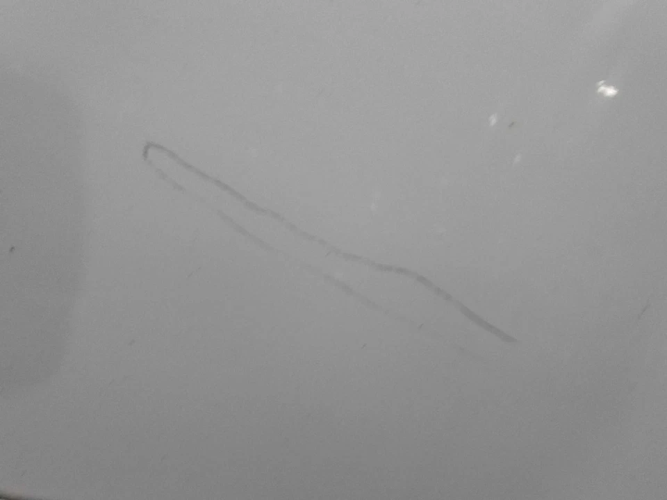 Conjunto de puerta trasera izquierda usado lado trasero se adapta a: 2010 Gmc Yukon XL 1500 trasero izquierdo gr Foto 1 de 4