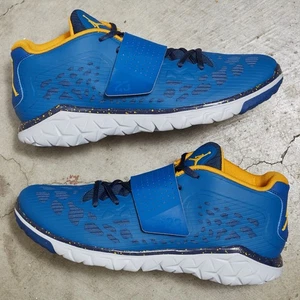 Nike Jordan Flight Flex Trainer 2 CAMPIONE INEDITO 'French Blue' | TG 9M | 2016 - Foto 1 di 11