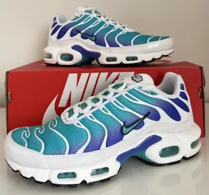 Nike Air Max Plus TN 'Aqua' Talla 6.5 UK, 40.5 EUR Entrenadores Persa Violeta 95 - Imagen 1 de 23