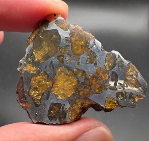 41,9 Gramm Imilac Pallasit Meteorit Endschliff mit Olivin - legitimer Verkäufer aus den USA - Bild 1 von 10