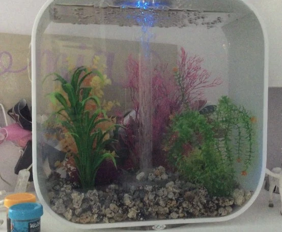 BIORB LIFE ACUARIO S30 BLANCO HIELO 30L 8 GALONES ARRECIFE UN ACUARIO CON EXTRAS Foto 1 de 4