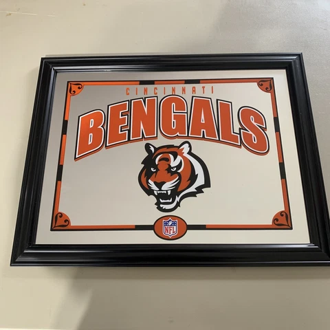 cincinnati bengals NFL 2009 framed glass mirror Cover