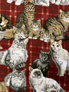 Fabric-Quilt Cat / Kitten On Red Plaid Fabric David Textile 2 Yd 44” - Picture 1 of 4