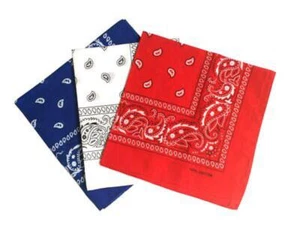 12Pcs Multi-Purpose Cotton Paisley Cowboy Bandanas Headband for Men and Women - Picture 1 of 8