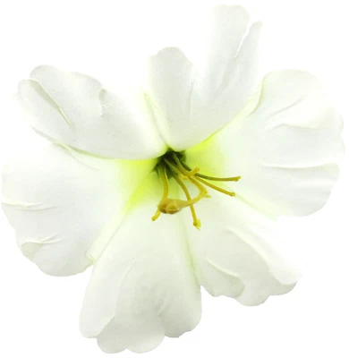 Broche prendedor flor hibisco poli seda blanco crema 5 1/2", boda, graduación, baile Foto 1 de 4