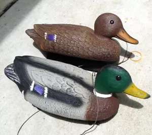 Flambeau Mallard Hen Ducks Decoys Vintage Male Female Plastic NO weights LOT - Picture 1 of 5