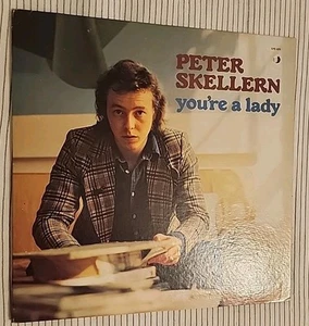 '72 LP PETER SKELLERN YOU'RE A LADY PROMO Original Mit Künstler Folio Selten - Bild 1 von 9