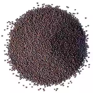 Organic Broccoli Seeds for Sprouting - Non-GMO, Kosher, Raw - by Food To Live - Picture 1 of 57