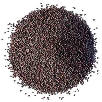 Органические семена брокколи для проращивания - без ГМО, кошерные, сырые - от Food To Live - Изображение 1 из 4