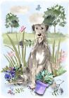 Irish Wolfhound Dog (4" x 6") Blank Card / Notelet Design By Starprint