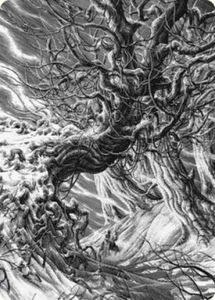 Magic Art Séries NOCE ECARLATE EN/fr Forest - Imagen 1 de 1