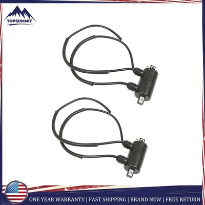 Bobina de encendido 2 piezas para Honda VT750C Shadow 750 1983 VT800C Shadow 800 1988 NUEVO Foto 1 de 4