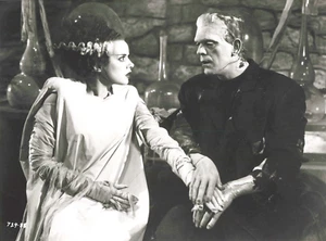FOTO KINO FILM DIE VERLOBTE VON FRANKENSTEIN SILBERAUFLAGE 24 x 17,5 CM - Bild 1 von 2
