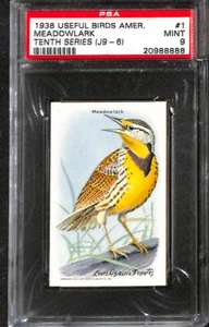 J9-6 Arm & Hammer, Useful Birds America, 1938, #1 Meadowlark, PSA 9 como nuevo - Imagen 1 de 2