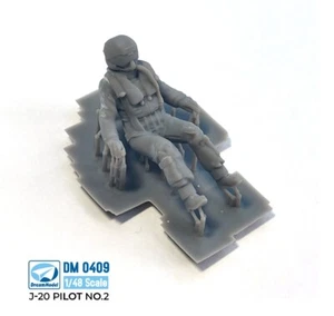 Dream Model 1/48 #0409 J-20 Pilot #2 - Picture 1 of 2