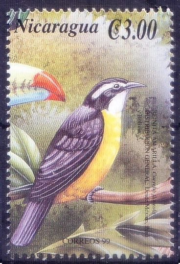 Nicaragua 1999 MNH, Curruca Amarilla, Aves   Foto 1 de 1