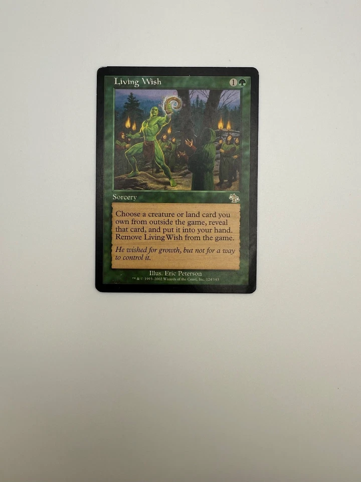 Living Wish Judgment Regular - Image 1 of 1