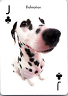 Dalmation The Dog Artist Collection Playing Card Poker Room Art Decor Pet Lover
