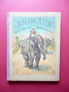 Les Animaux Sauvages et Domestiques Pour les Enfants Garnier Paris 1892 Tavole - Foto 1 di 6