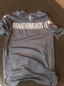 Panathinaikos fc training shirt - Picture 1 of 2