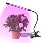  9 W Dimmable Plant Light Indoor Lamp for Plants Water Proof