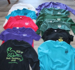 VINTAGE LOT OF 11 BETA SIGMA PHI SHIRTS  (XI ALPHA DELTA) - Picture 1 of 12