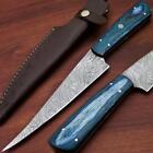 Beautiful handmade damascus filet with color blue wood 
