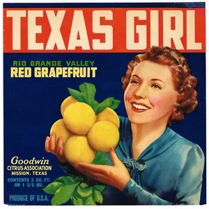 ETICHETTA CASSA ORIGINALE VINTAGE MISSION TEXAS GIRL RIO GRANDE CITRUS C1946 USURA ROSSO - Foto 1 di 2