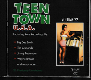 TEEN TOWN USA VOL 22 CD - FABRYCZNIE NOWY