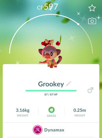 - Pok&eacute;mon - Shiny Dynamax Grookey - P T C - 20k stardust - Description