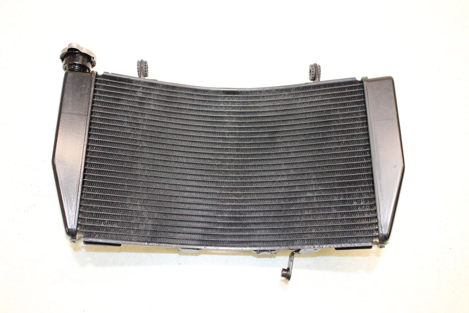 VENTILADORES DE RADIADOR DUCATI 1098S 1198S OEM PERNOS 848 1098 1198 1098R 848 EVO Foto 1 de 4