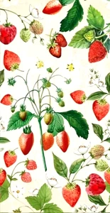 FREE SHIPPING 2 Individual Decoupage Paper Napkins (Strawberries) - Picture 1 of 5