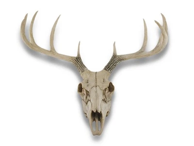 Zeckos 10 Point Buck Deer Skull Bust Wall Hanging - Image 1 of 3