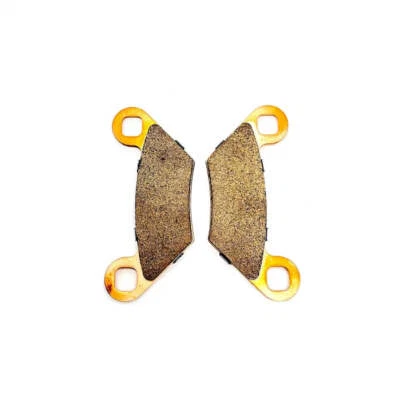Polaris Rear Dual Input Brake Pads | 2204088 - Image 1 of 4