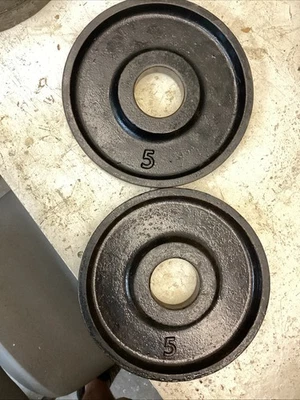 IVANKO M. SERIES 5lb OLYMPIC WEIGHT PLATES PairX2(VintageRare) - Image 1 of 4