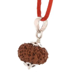  Zertifizierter 12 Mukhi Rudraksha Anhänger, Indonesien/Java Premium Qualität Rudrakas - Bild 1 von 3
