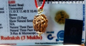 3 MUKHI RUDRAKSH THREE FACE RUDRAKSHA 925 STERLING SILVER PENDANT~LAB CERTIFIED - Picture 1 of 2