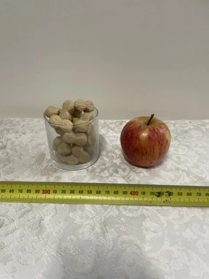 Used Glass Cup Peanuts  Puzzle DIY Building Toys Home Decor Gifts Mind Training - Image 1 of 3