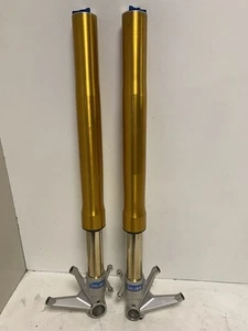 Barras Ohlins Ducati 1098 1198 S R - Imagen 1 de 7