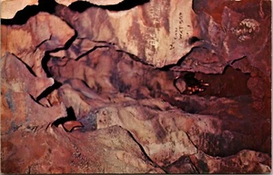 Das verlorene Meer Spuren eines Jaguar Tennessee Berg Tennessee Chrom Postkarte F2 - Bild 1 von 2