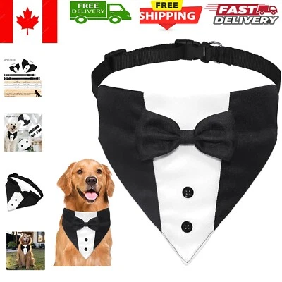 Formal Dog Costume with Adjustable Collar & Bow Tie - Ideal for Special Events Foto 1 de 4