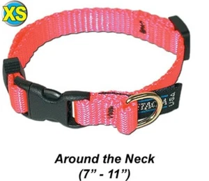 Dog/Pet Collar, Adj. Quick Release - Extra Small 7-11" - PTC38AQR1 - Blue - Picture 1 of 2