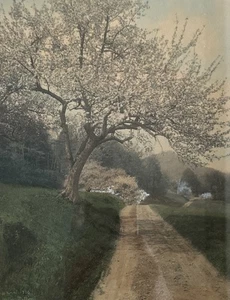 Wallace Nutting signiertes handkoloriertes Foto Ein Blick auf den Hügel gerahmt 16”x14” - Bild 1 von 10