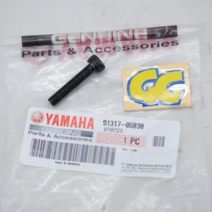 Genuine Parts Fits For Yamaha Universal Bolt 91317-06030 - Imagen 1 de 4