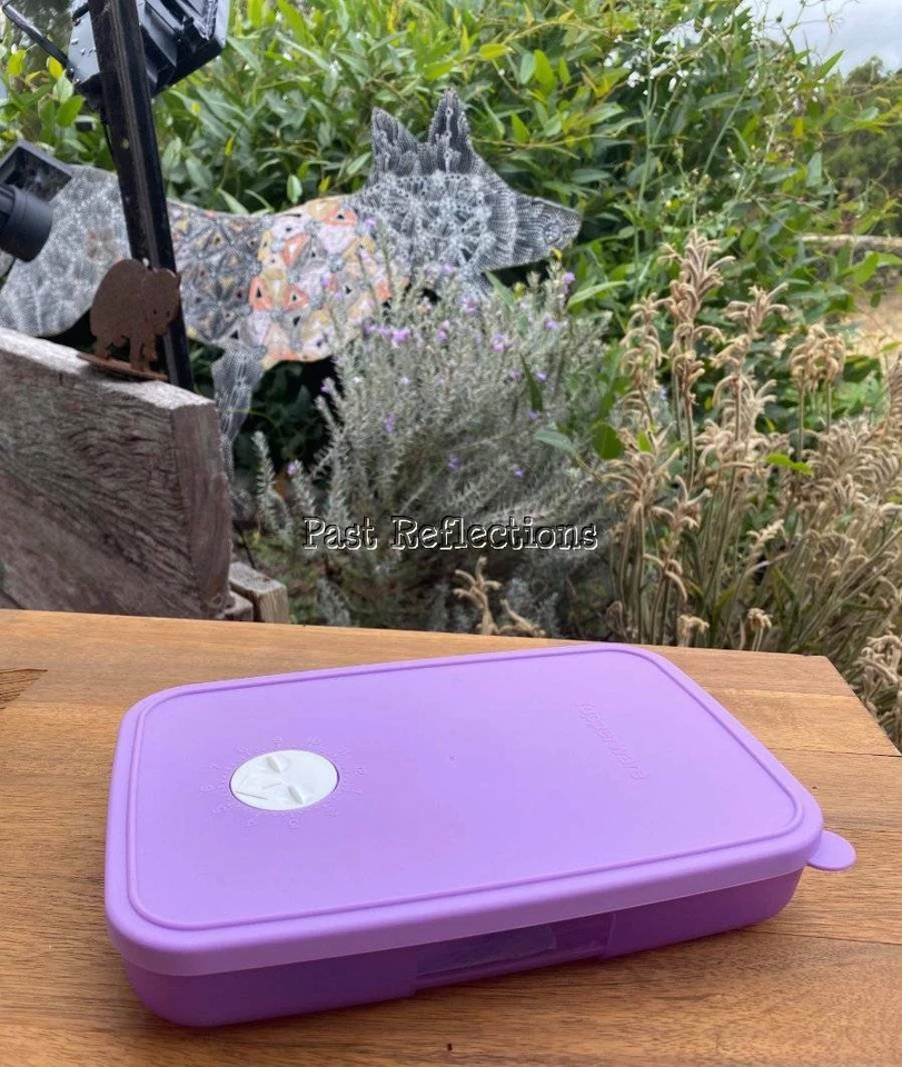 TUPPERWARE FREEZERMATES FREEZER CONTAINER 550ml LILAC PURPLE MEDIUM 1 - Image 1 of 4