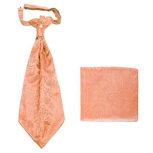 Nuevo conjunto de corbata y pañuelo para hombre poliéster ASCOT corbata cuello melocotón cachemira graduación - Imagen 1 de 2